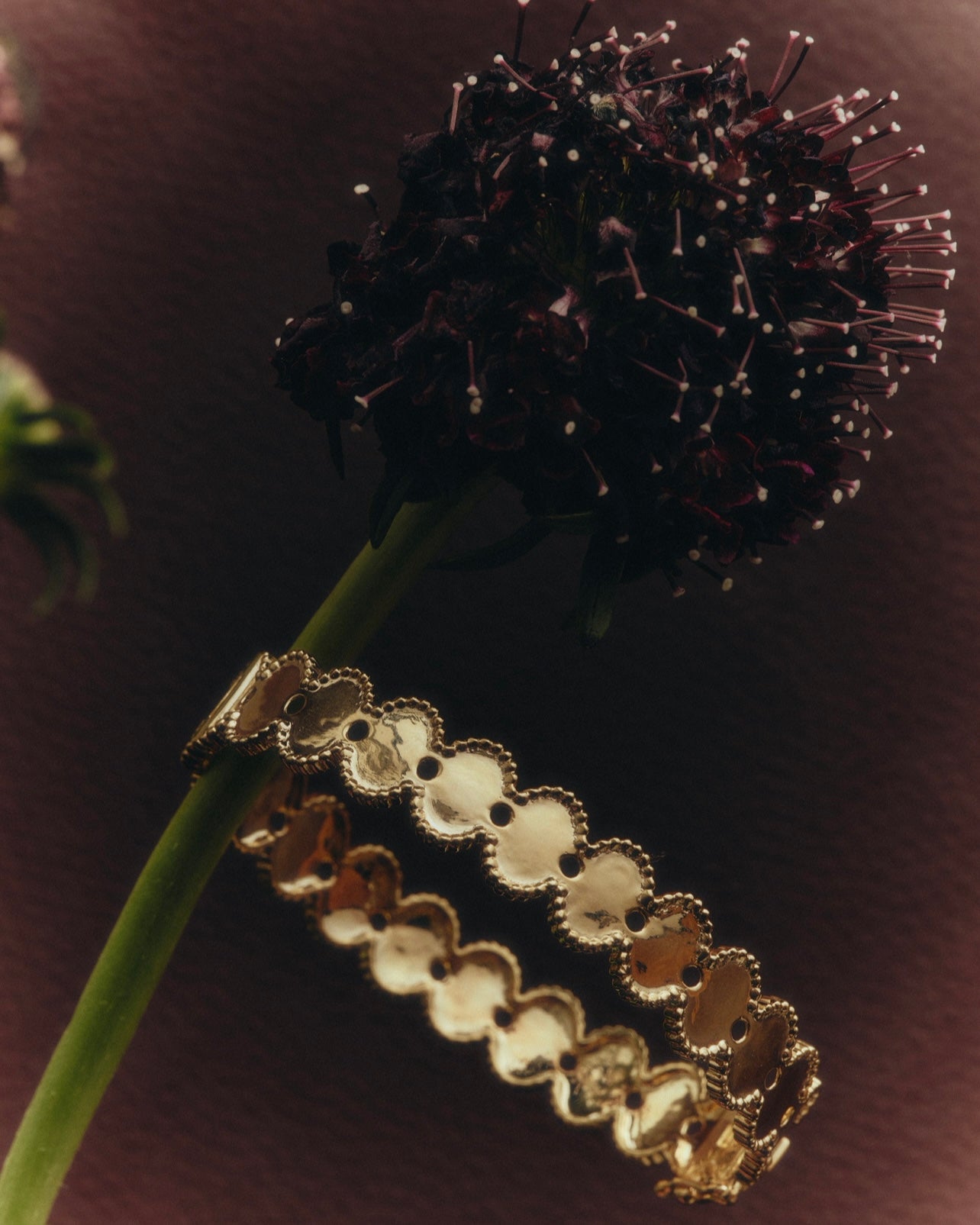 Super Darling - Bangle